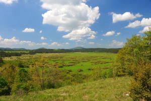 Področje_presihajočega_Palčjega_jezera_Franci Horvat